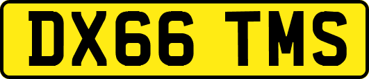 DX66TMS