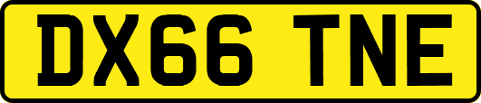 DX66TNE