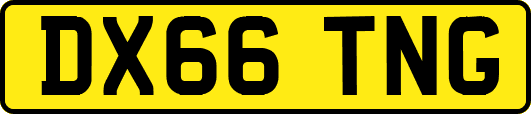 DX66TNG