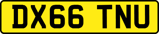 DX66TNU