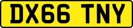DX66TNY