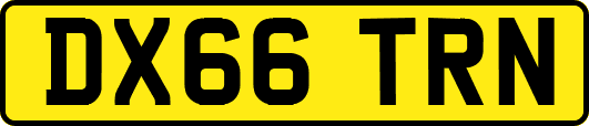 DX66TRN