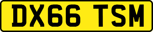 DX66TSM
