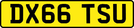 DX66TSU