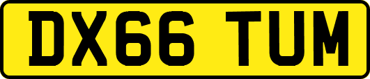 DX66TUM