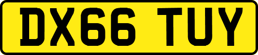 DX66TUY