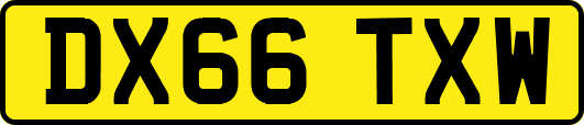 DX66TXW