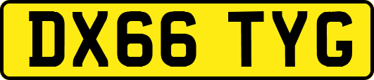 DX66TYG