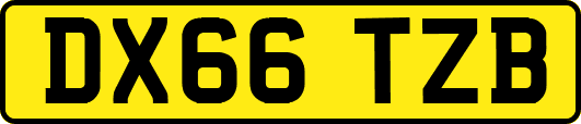 DX66TZB