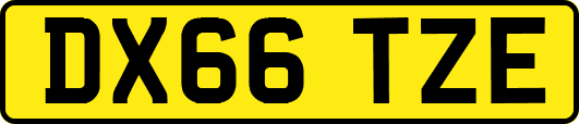 DX66TZE