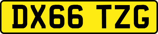 DX66TZG