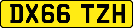 DX66TZH