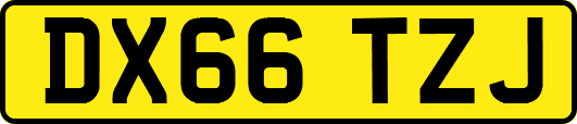 DX66TZJ