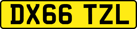 DX66TZL