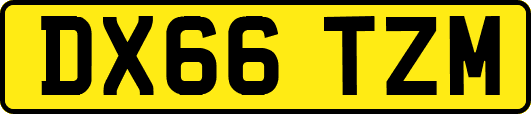 DX66TZM