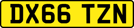 DX66TZN
