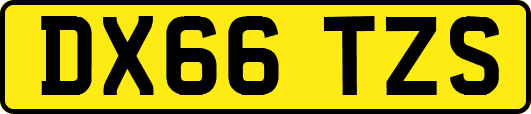 DX66TZS
