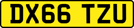 DX66TZU