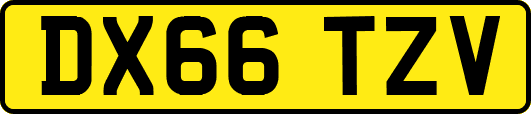 DX66TZV