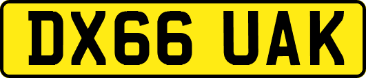 DX66UAK