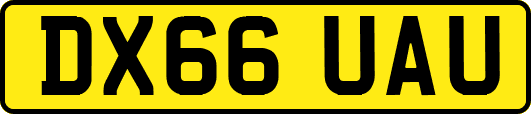 DX66UAU