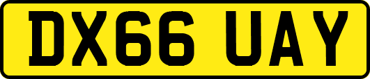 DX66UAY