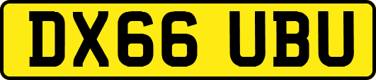 DX66UBU
