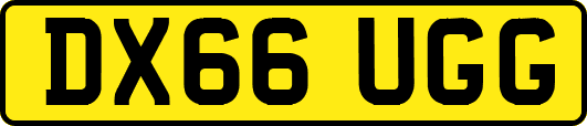 DX66UGG