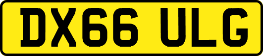DX66ULG