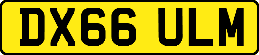 DX66ULM