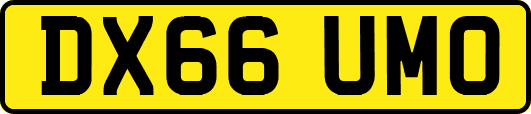 DX66UMO