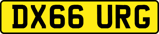 DX66URG