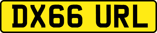 DX66URL