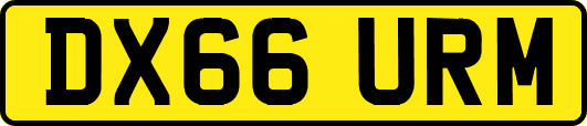 DX66URM