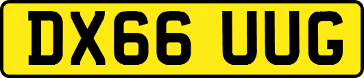 DX66UUG
