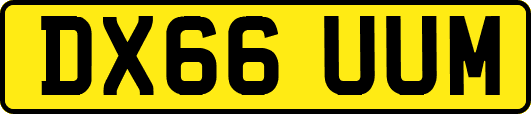 DX66UUM