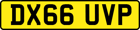 DX66UVP