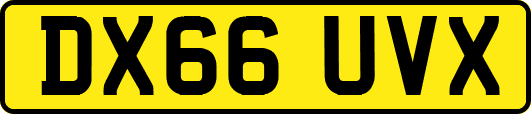 DX66UVX