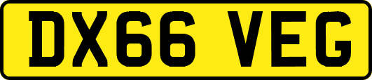 DX66VEG