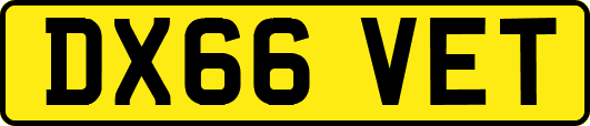 DX66VET