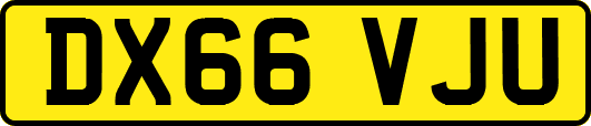 DX66VJU