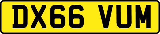 DX66VUM