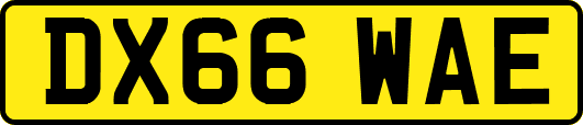 DX66WAE
