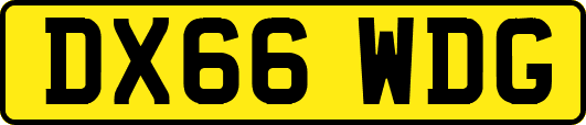 DX66WDG