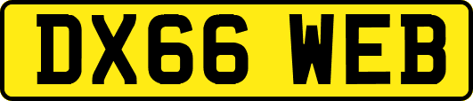 DX66WEB