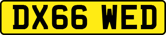 DX66WED