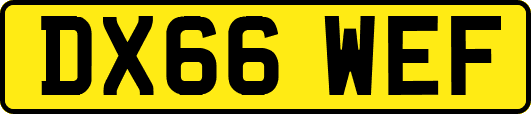 DX66WEF