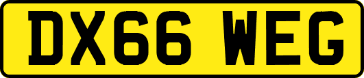 DX66WEG
