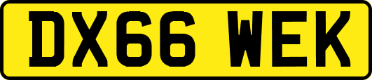 DX66WEK