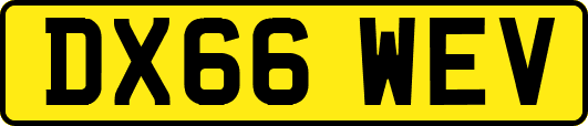 DX66WEV